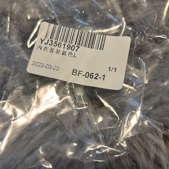 NWT Blue Bra Panty Set Sz L (see measurements) - Picture 8 of 8